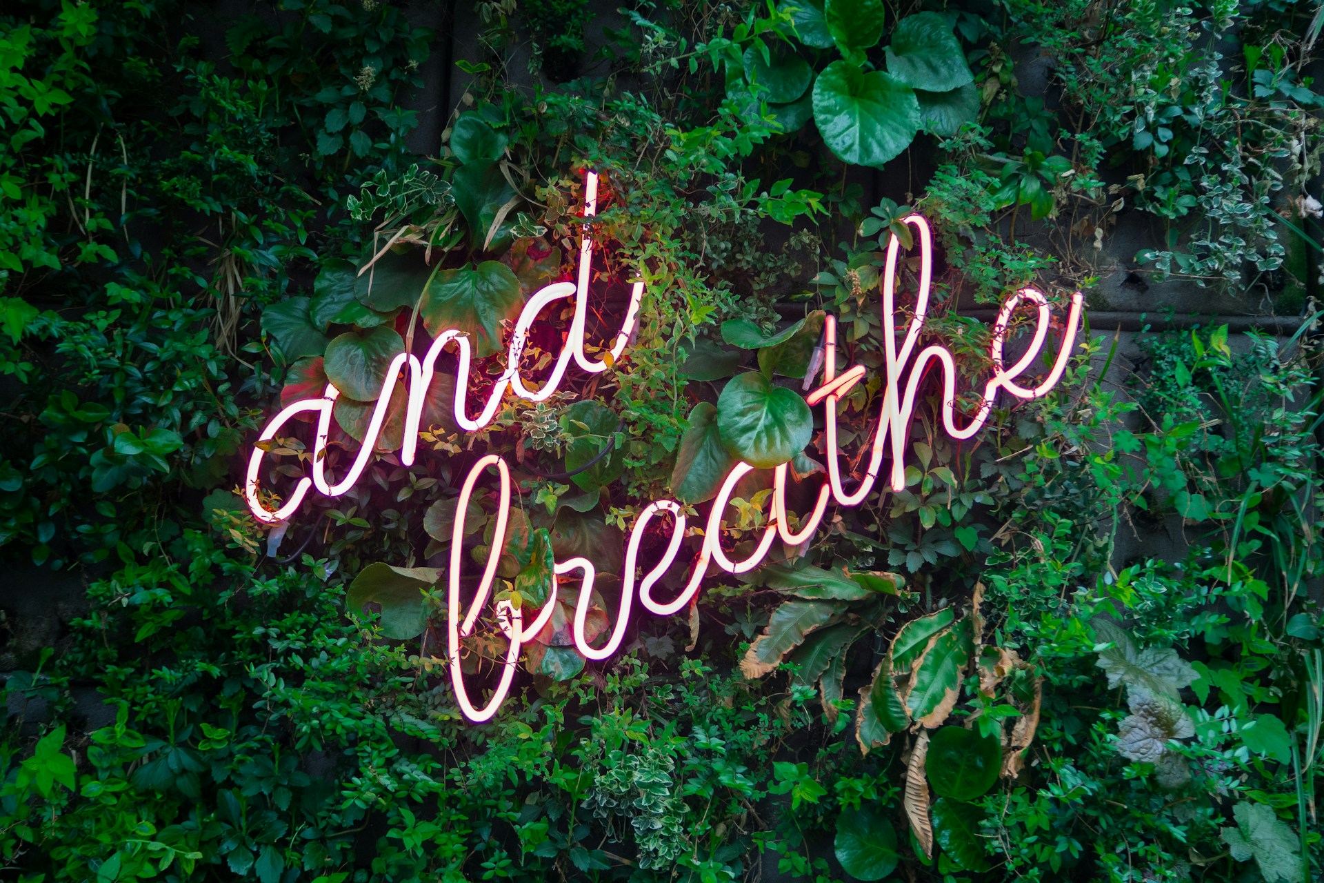 a neon "and breathe" sign is resting on some green foliage.