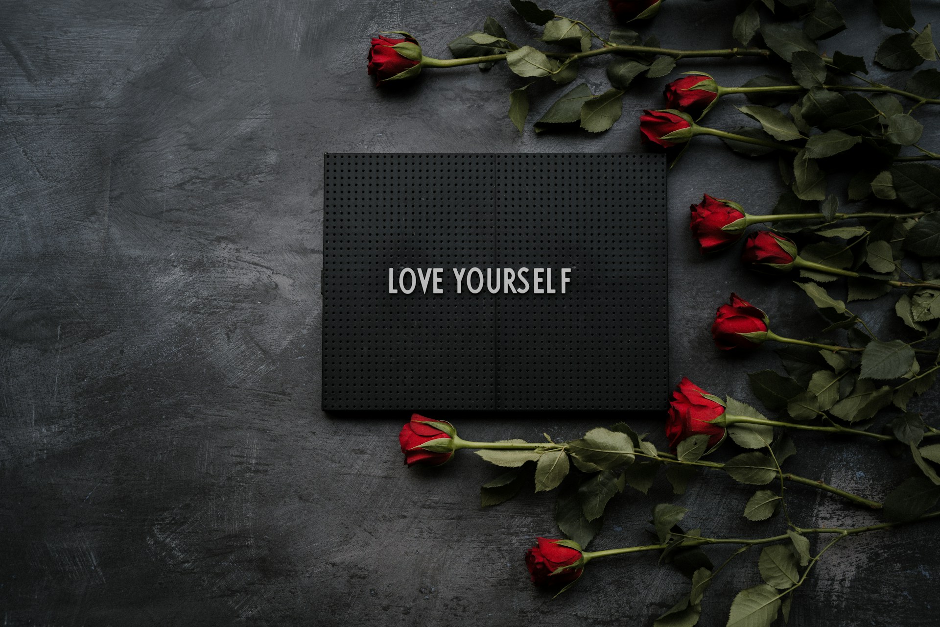love yourself sign surrounded by roses on the right side.